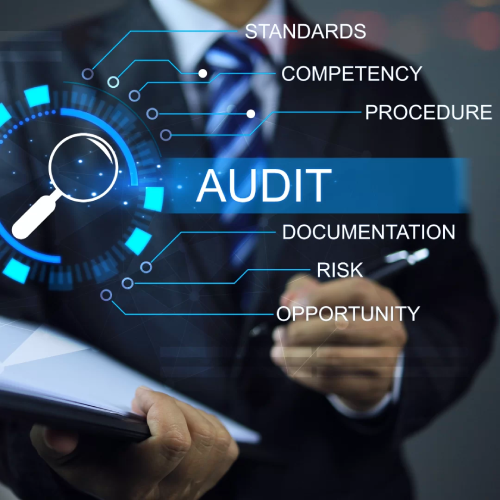 Audit